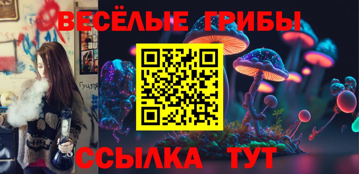 Галлюциногенные грибы мухоморы Кызыл